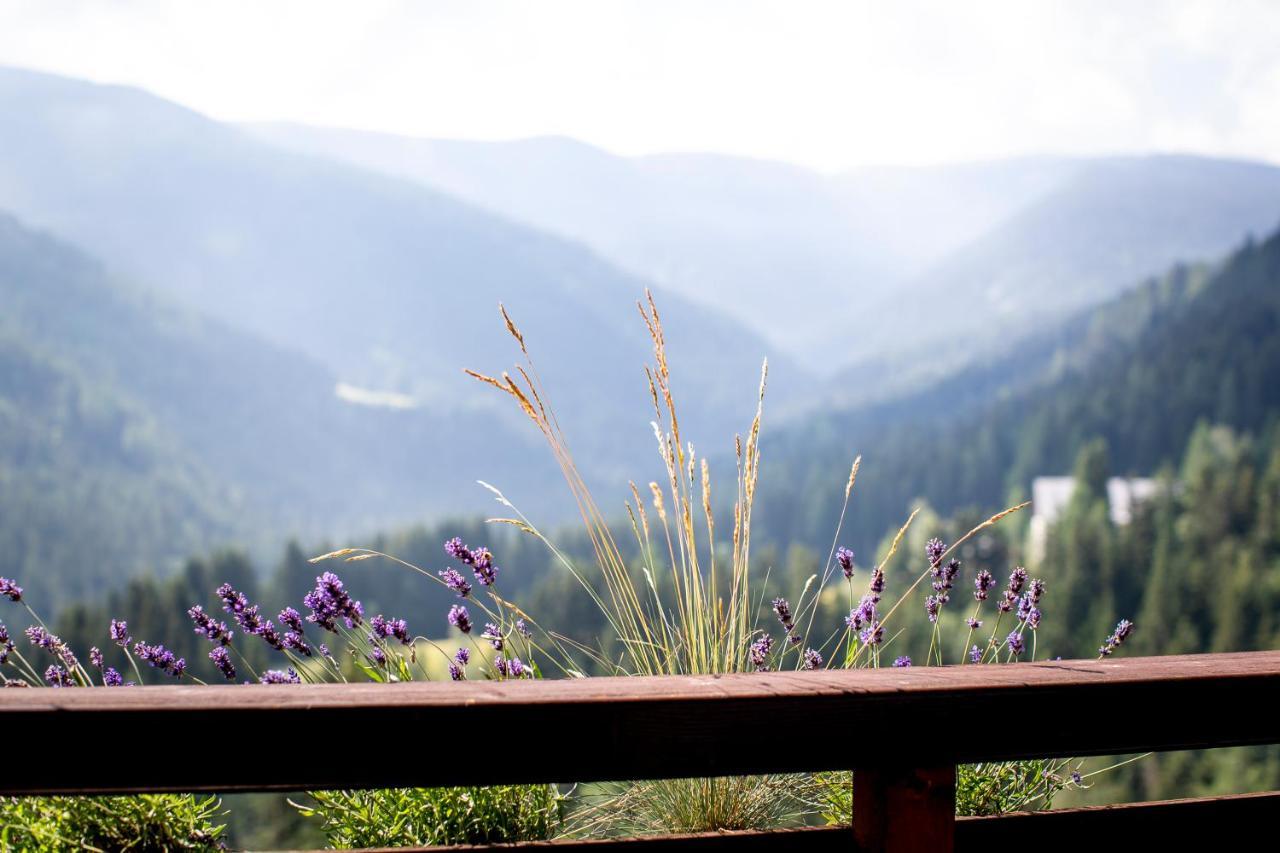 Bergblick Ruhe Und Aussicht Auf 1100M Apartment ซังคท์ลอเรนเซน อ็อบ มูเรา ภายนอก รูปภาพ