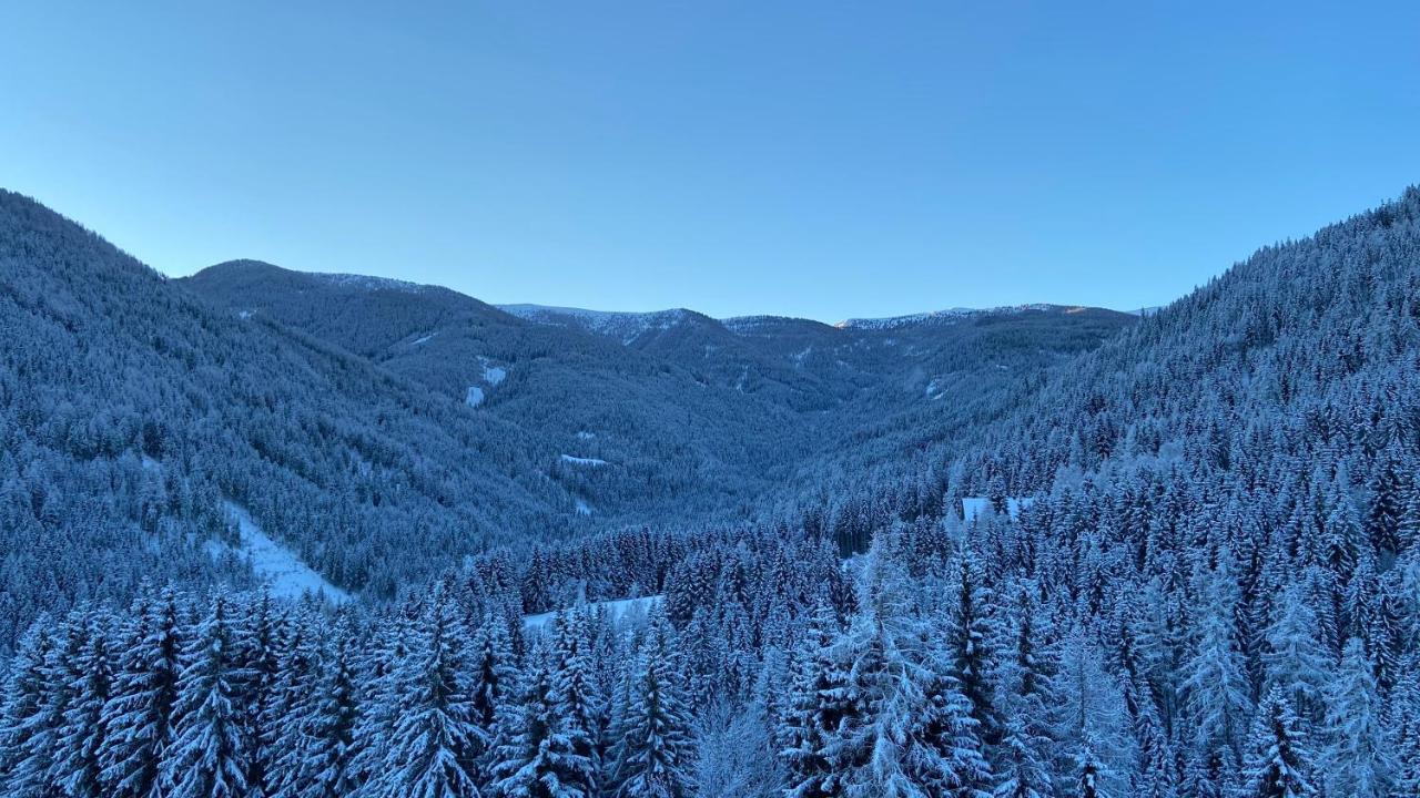 Bergblick Ruhe Und Aussicht Auf 1100M Apartment ซังคท์ลอเรนเซน อ็อบ มูเรา ภายนอก รูปภาพ